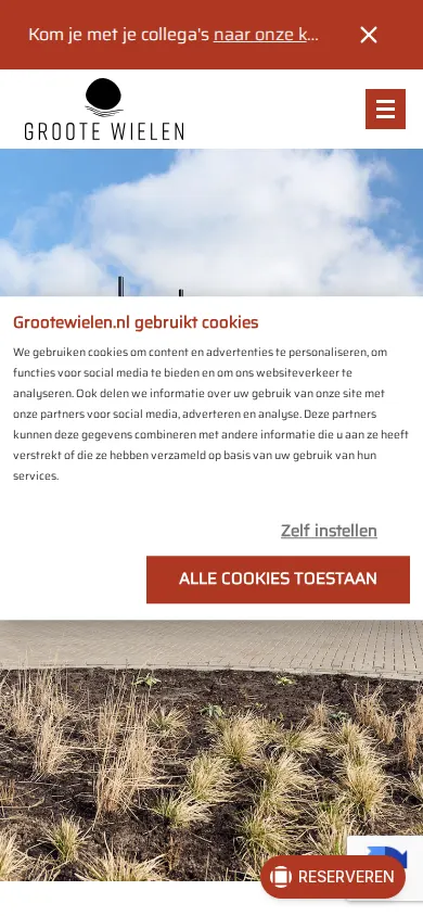 Huidige homepage van Groote Wielen op een telefoon